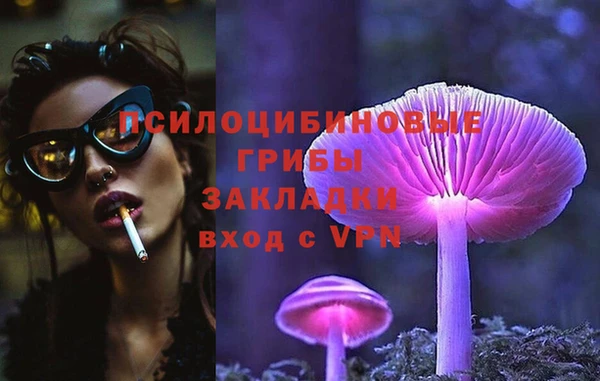 экстази Арсеньев