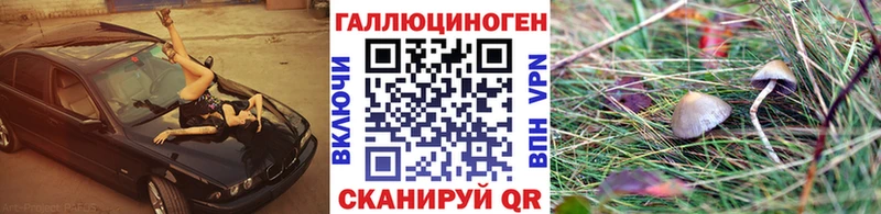 Купить  Сарапул  Псилоцибиновые грибы MAGIC MUSHROOMS 