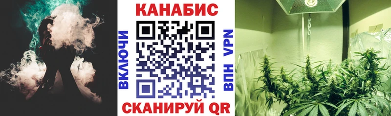 Купить где  Сарапул  Конопля тримм 